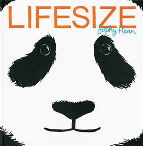 Prek - Lifesize