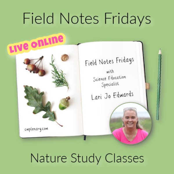 Field Notes Fridays with Lari Jo Edwards - Live Online Nature Journal Classes - Charlotte Mason Nature Study