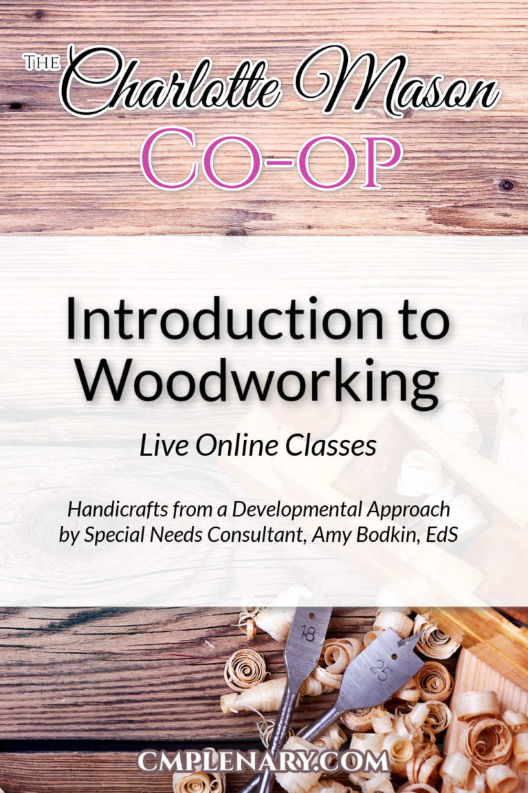 Introduction to Woodworking with Amy Bodkin, EdS - Special Needs Homeschool Consultant - A Developmental Approach to Charlotte Mason Handicrafts