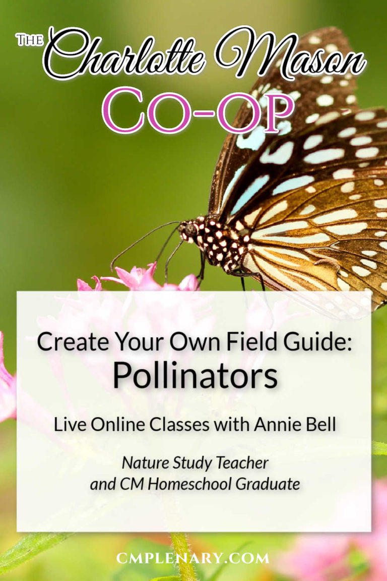 Create Your Own Field Guide Pollinators - online classes taught by Annie Bell at The Charlotte Mason Co-op