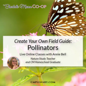 Create Your Own Field Guide Pollinators - online classes taught by Annie Bell at The Charlotte Mason Co-op