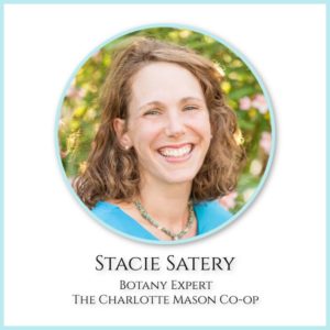 Stacie Satery - Certified Herbalist - teaches Botany at The Charlotte Mason Co-op