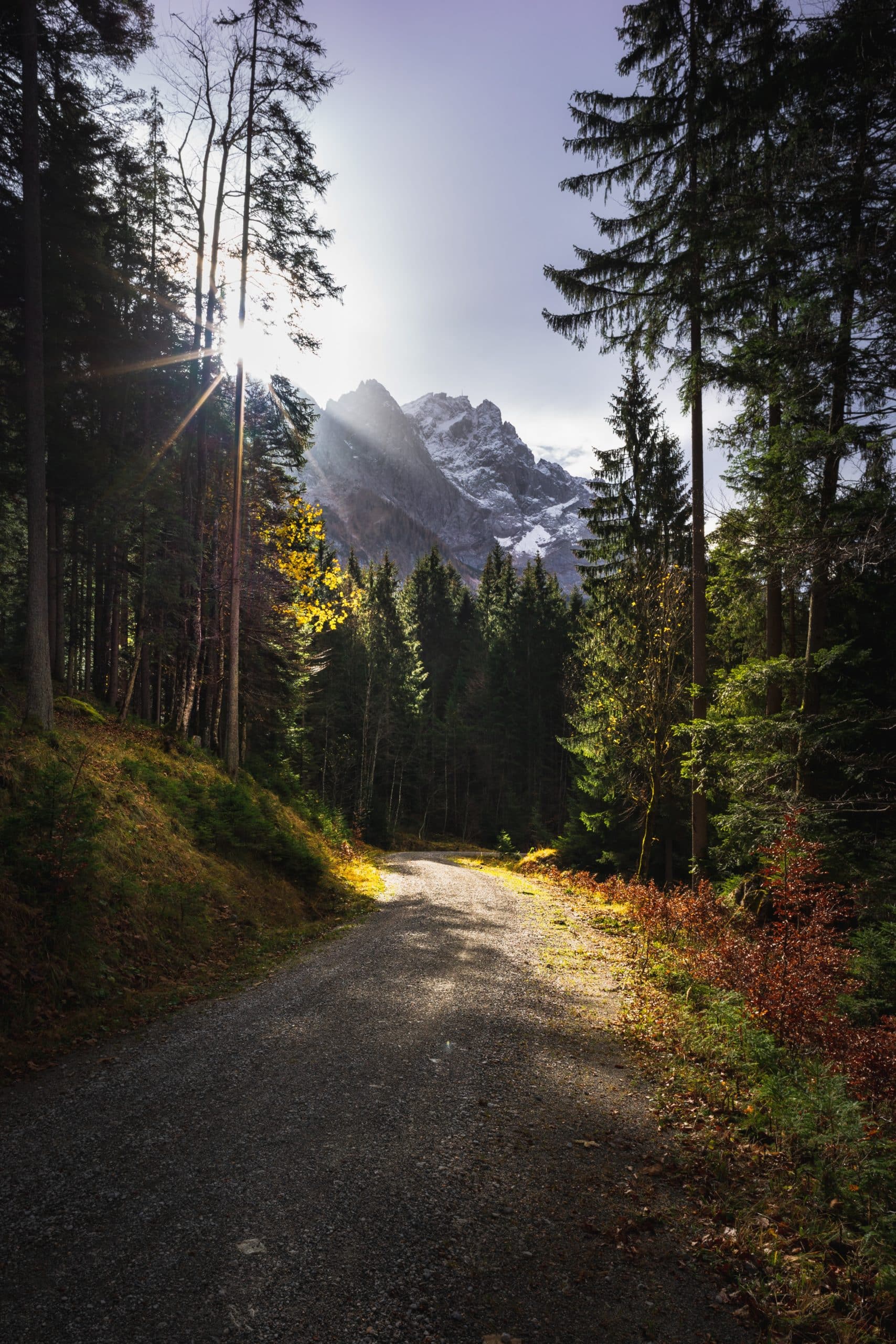 daniel-sessler-NpV_Z2JLadw-unsplash-original-size-4171-x-6250
