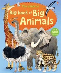 Prek - Big Book of Big Animals (IR)